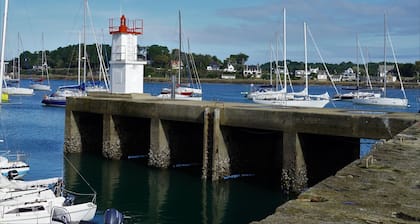 Sun-Kissed Sailing Adventure in Golfo de Morbihan, Brittany