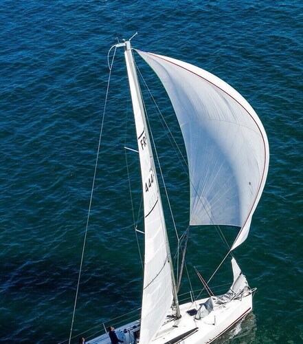 Sun-Kissed Sailing Adventure in Golfo de Morbihan, Brittany