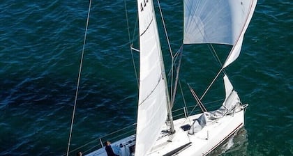 Sun-Kissed Sailing Adventure in Golfo de Morbihan, Brittany