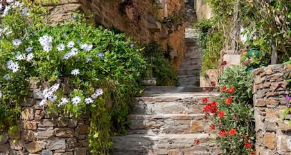 Sun-Kissed Sailing Adventure in Provence-Alpes-Côte d'Azur