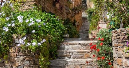 Sun-Kissed Sailing Adventure in Provence-Alpes-Côte d'Azur
