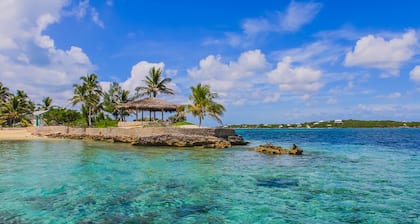 Caribbean Dream: Sun-soaked Sailing Adventure from Bahamas to Islas Abaco