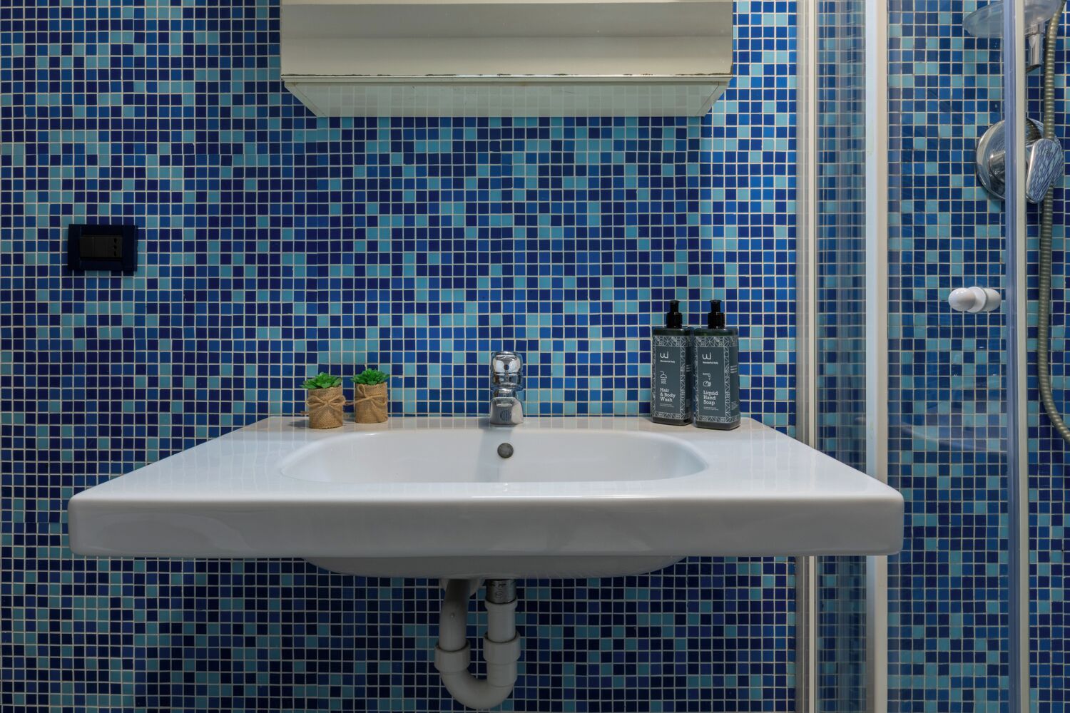 Une salle de bain avec un lavabo, deux petites plantes en pot et deux bouteilles de shampoing et d’après-shampoing.