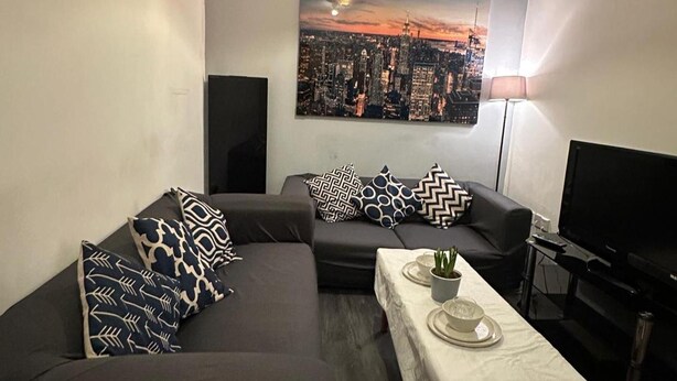 Ett vardagsrum med en soffa, ett soffbord med en växt, en tv och en tavla med ett stadsmotiv på väggen.