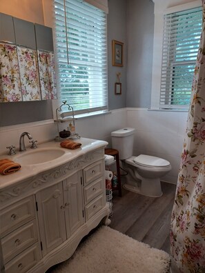 Bathroom - 1925 "Haunted" Fredrichsen Manor (Port Arthur)