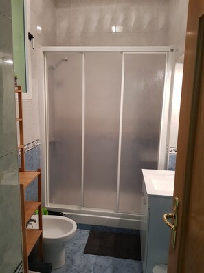 Shower, hair dryer, bidet, towels