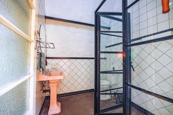 A bathroom with a pink sink, a glass shower enclosure, and a white toilet. - The Old Mushroom Farm (Howick)