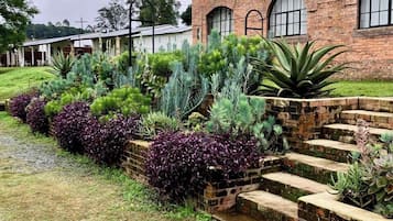 Comfort-Apartment, Küche | Blick auf den Garten