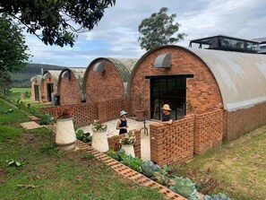 A row of brick structures with curved roofs, possibly a series of small buildings or sheds, surrounded by greenery and a clear sky. - The Old Mushroom Farm (Howick)