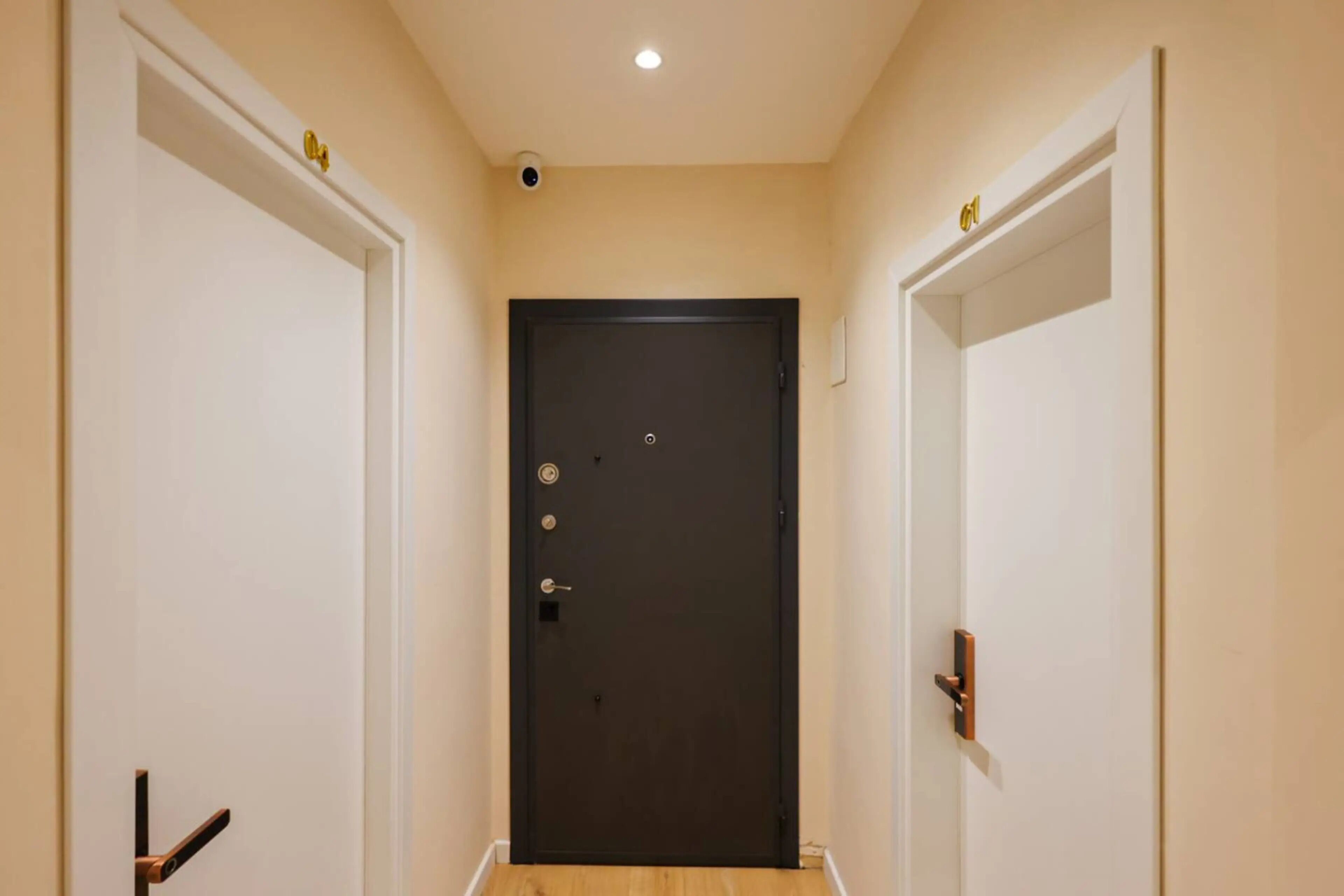 Um corredor com uma porta escura no final, paredes brancas e uma luminária no teto.