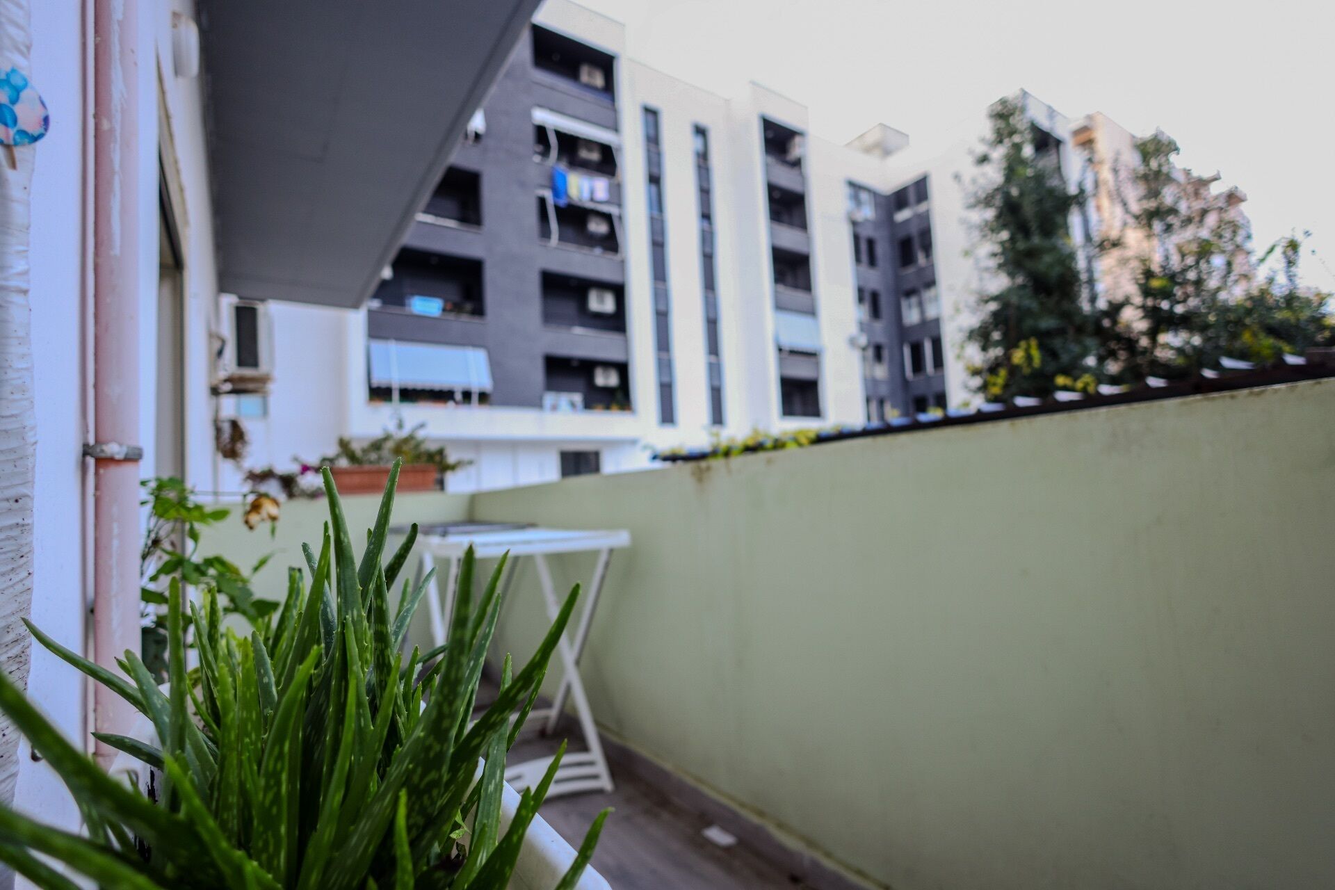 Un balcón con una planta en maceta, una mesa blanca y vistas a un edificio moderno con varios balcones.