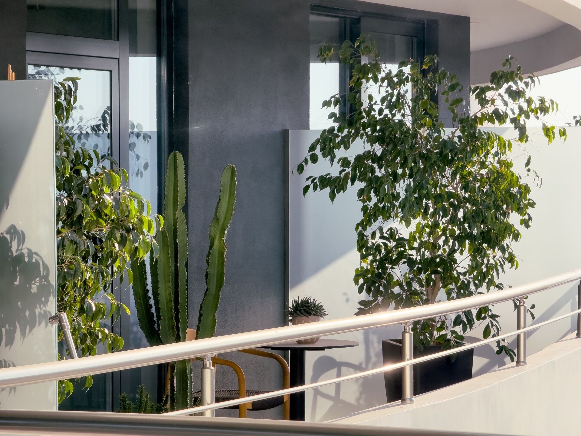 A balcony with a railing, a cactus, and a potted plant.