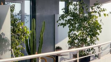 A balcony with a railing, a cactus, and a potted plant.