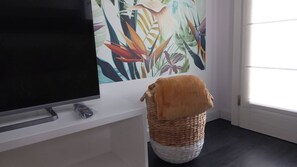 Jalustalla oleva televisio, punottu kori ja seinä, jossa on kukka-aiheinen maalaus.
