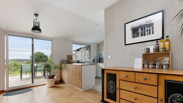 Une cuisine moderne avec des meubles en bois, une plante en pot et une vue sur l’extérieur.