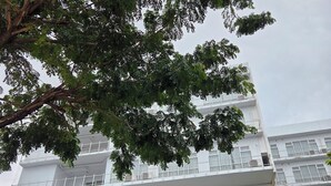 Ένα ξενοδοχείο με μια επιγραφή που γράφει «SENS HOTEL» και διαθέτει μια μοντέρνα αρχιτεκτονική σχεδίαση.