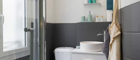 Shower, hair dryer, towels