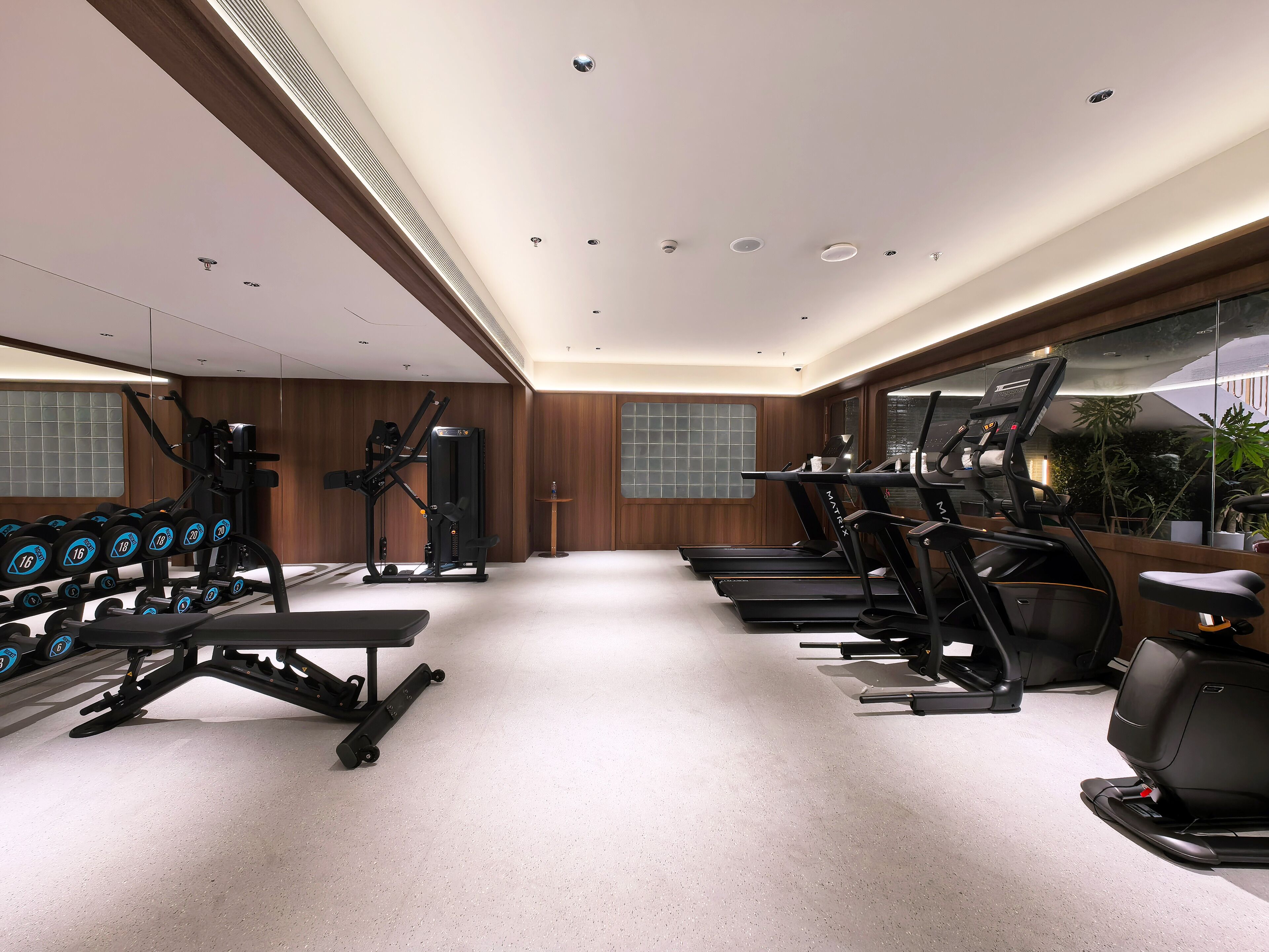 Gimnasio