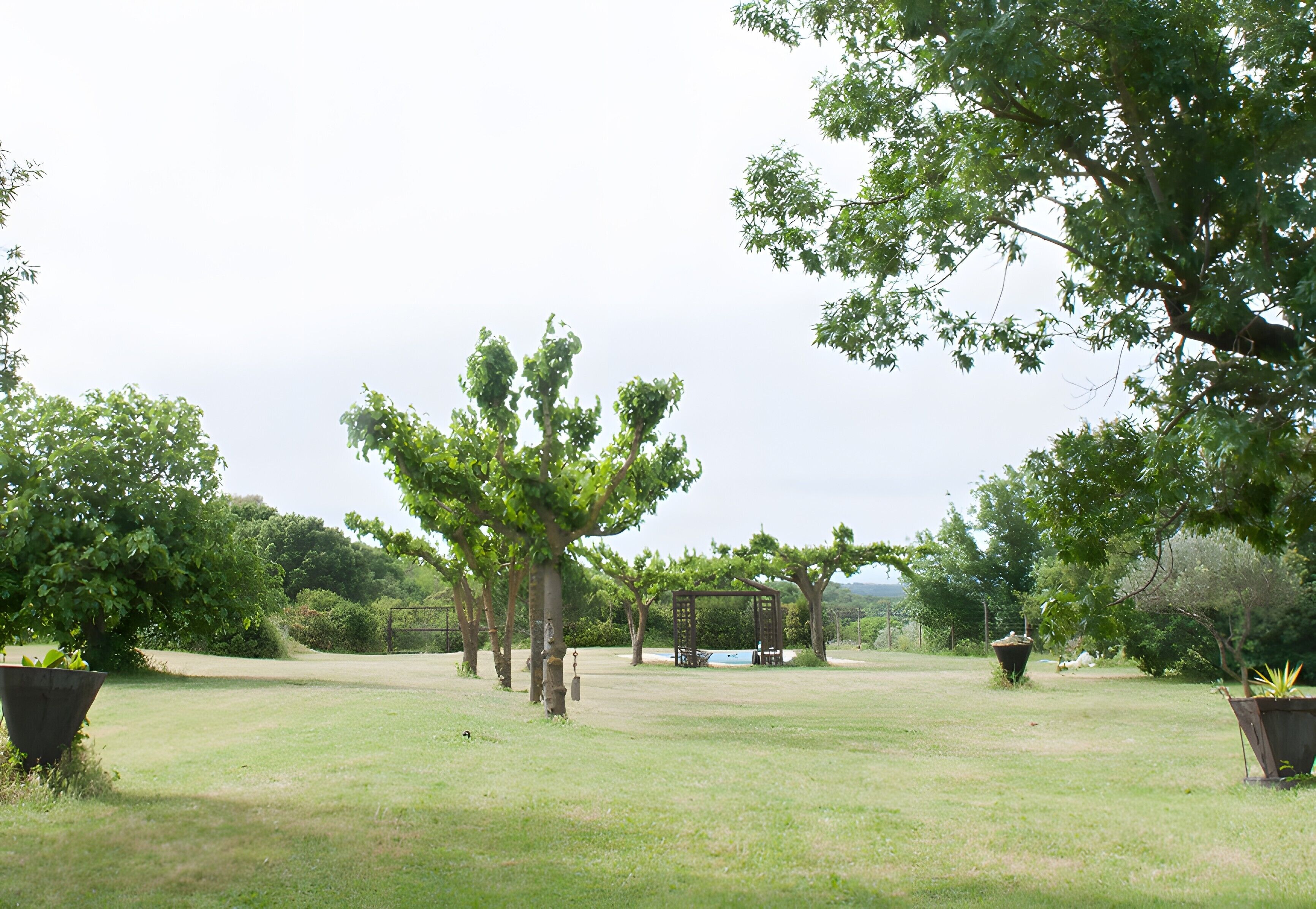A grassy outdoor area with trees, a gazebo, and a water feature.