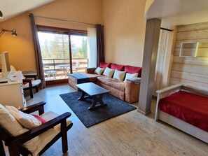 TV - Spacious loft studio - 8 guests - Bright with balcony (Saint-Michel-de-Chaillol)