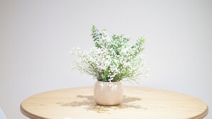 Una mesa redonda de madera con una planta en maceta, dos sillas blancas y un suelo de madera.