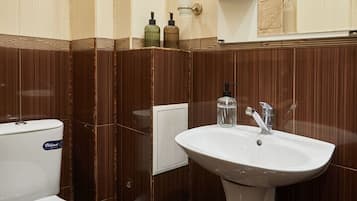 SĂšche-cheveux, serviettes fournies, savon, papier toilette