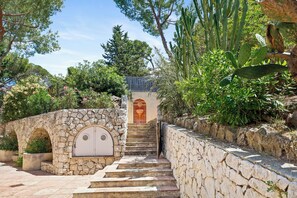 Una escalera de piedra que lleva a una puerta, rodeada de follaje y cactus.