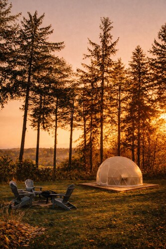 1875 Renovated Schoolhouse in the Finger Lakes with an Igloo!