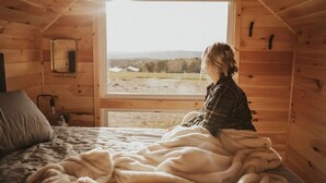 A cozy room with a bed, a window, and a view of the outdoors. - Tiny Cabin Stay in the Finger Lakes! (Science) (Burdett)