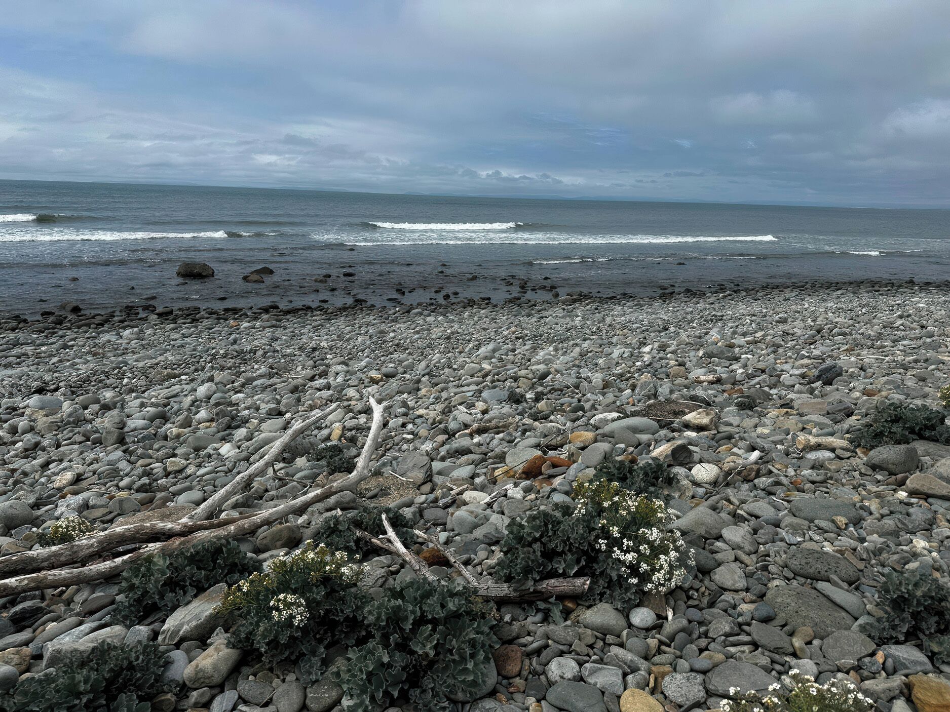 Cottage | Beach | Beach nearby