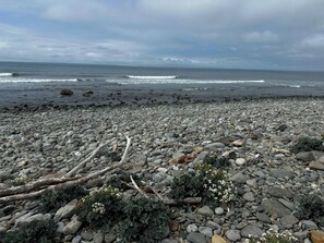 Uma praia rochosa com ondas, pedaços de madeira à deriva e pequenas flores brancas.