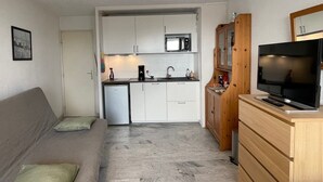 Un espacio habitable compacto con kitchenette, televisión y sofá.
