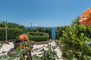 Property grounds - Flor di Mar - 3BR Apt by the Sea, Okrug Gornji (Okrug Gornji)