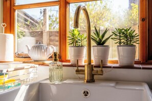 Un lavamanos de cocina con grifo de latón, tres macetas con plantas, una tetera blanca y una botella de vidrio.