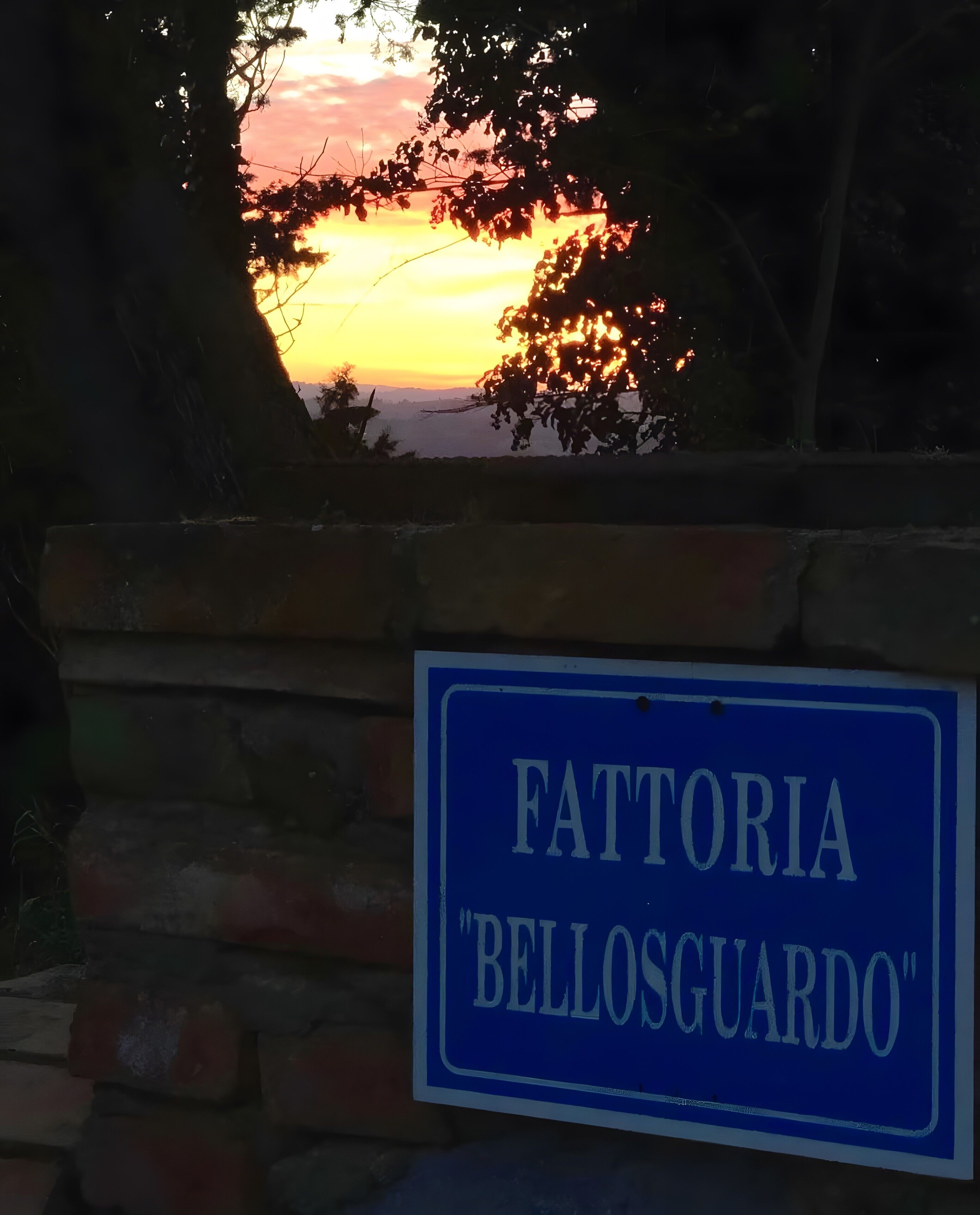 A brick wall with a blue sign that reads 'FATTORIA BELLOSGUARDO.'