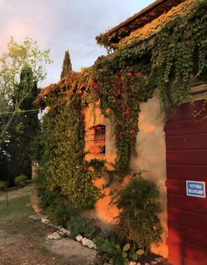 Un bâtiment aux murs recouverts de lierre, avec une fenêtre bien visible et une enseigne indiquant « Fattoria Bellosguardo ».