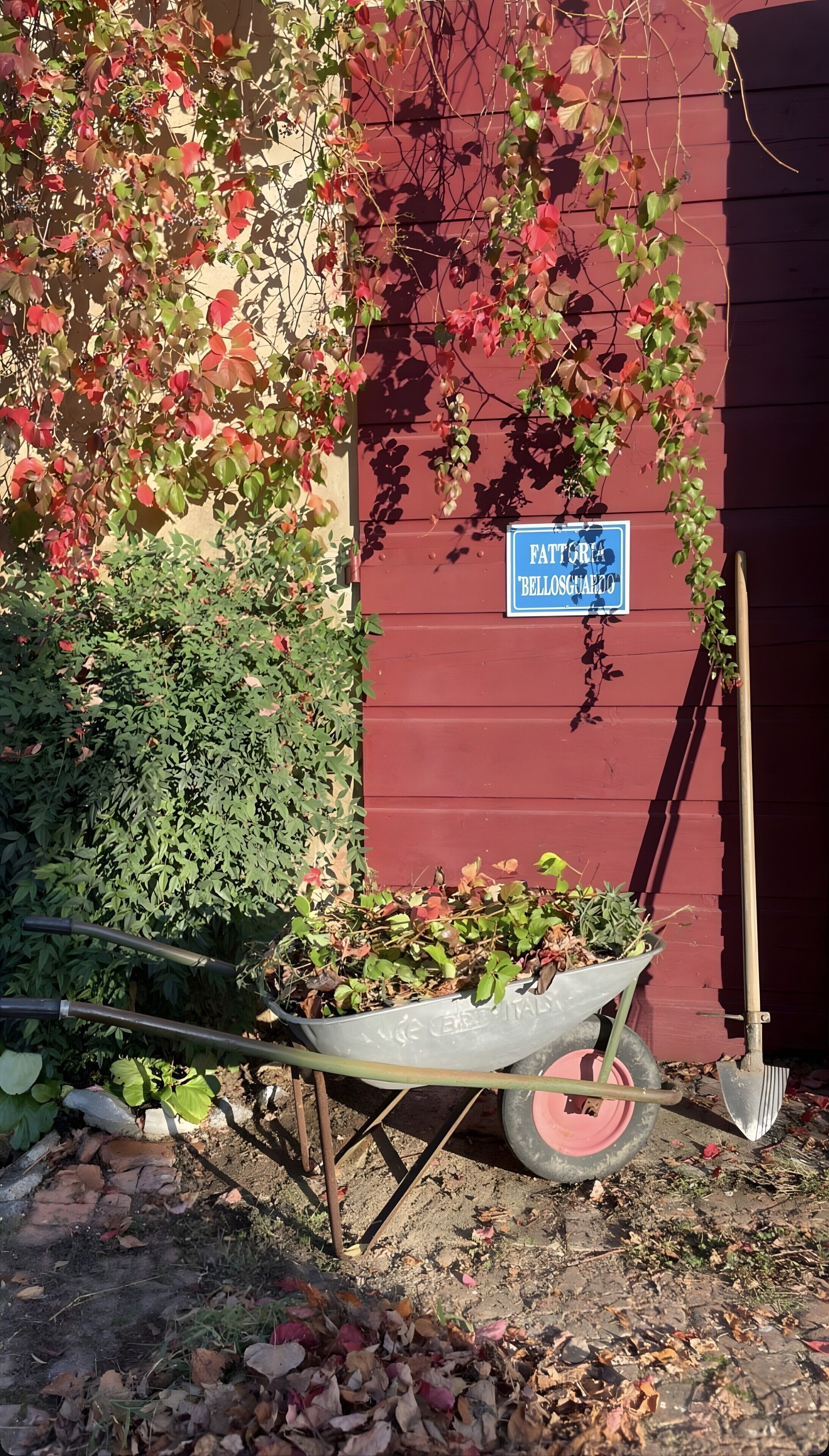 A wheelbarrow with gardening tools, a shovel, and a wheelbarrow wheel, positioned in front of a red building with a sign that reads 'FATTURA BELLOSQUARDO'.