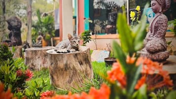 Pemandangan dari hartanah