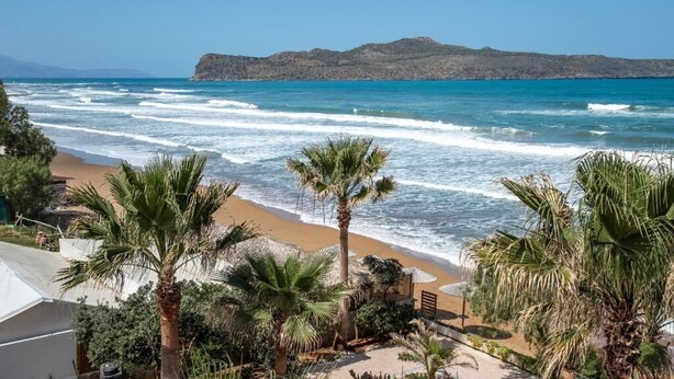 Vista de playa con palmeras, una orilla arenosa y una montaña distante.