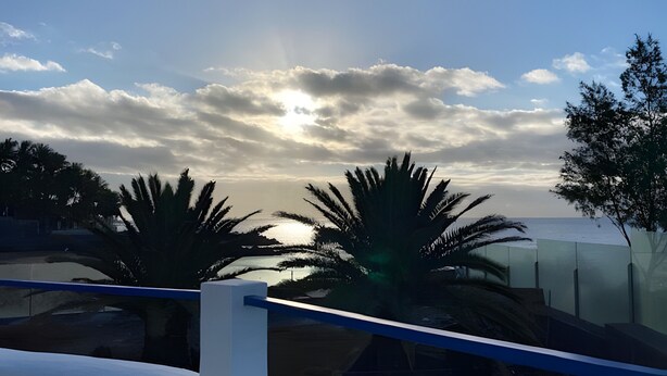 Un balcon avec une balustrade, des palmiers et une vue sur la mer sous un ciel nuageux.