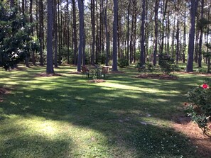 Property grounds - Cozy 1-bedroom cottage in beautiful Perkinston located on a peaceful farm. (Perkinston)