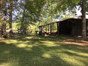 Property grounds - Cozy 1-bedroom cottage in beautiful Perkinston located on a peaceful farm. (Perkinston)