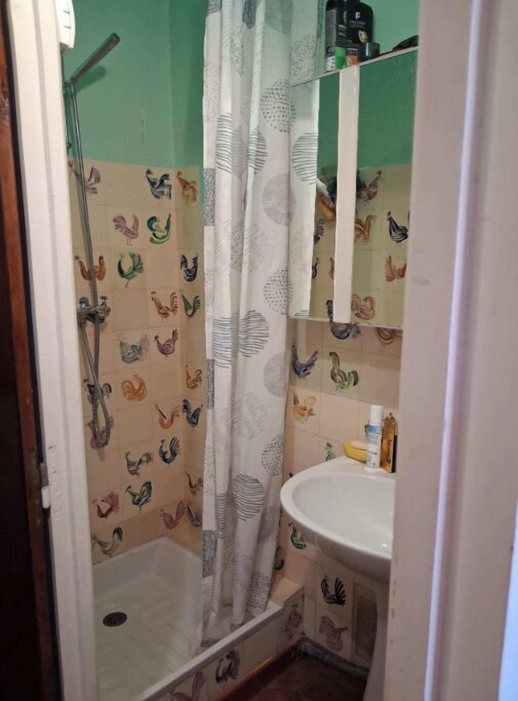 Shower, soap, toilet paper