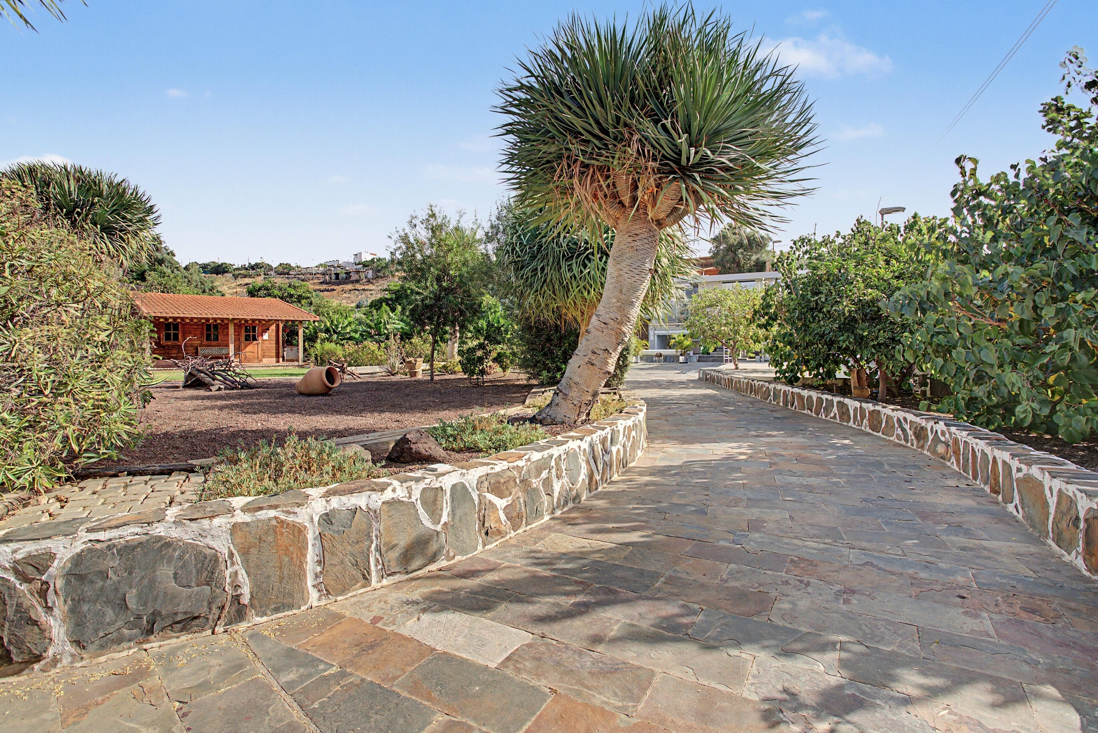 A stone pathway leading to a wooden house with a tiled roof, surrounded by various plants and trees.