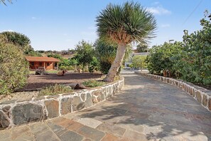 Un camí de pedra que condueix a una casa de fusta amb teulada de teules, envoltada de plantes i arbres diversos.