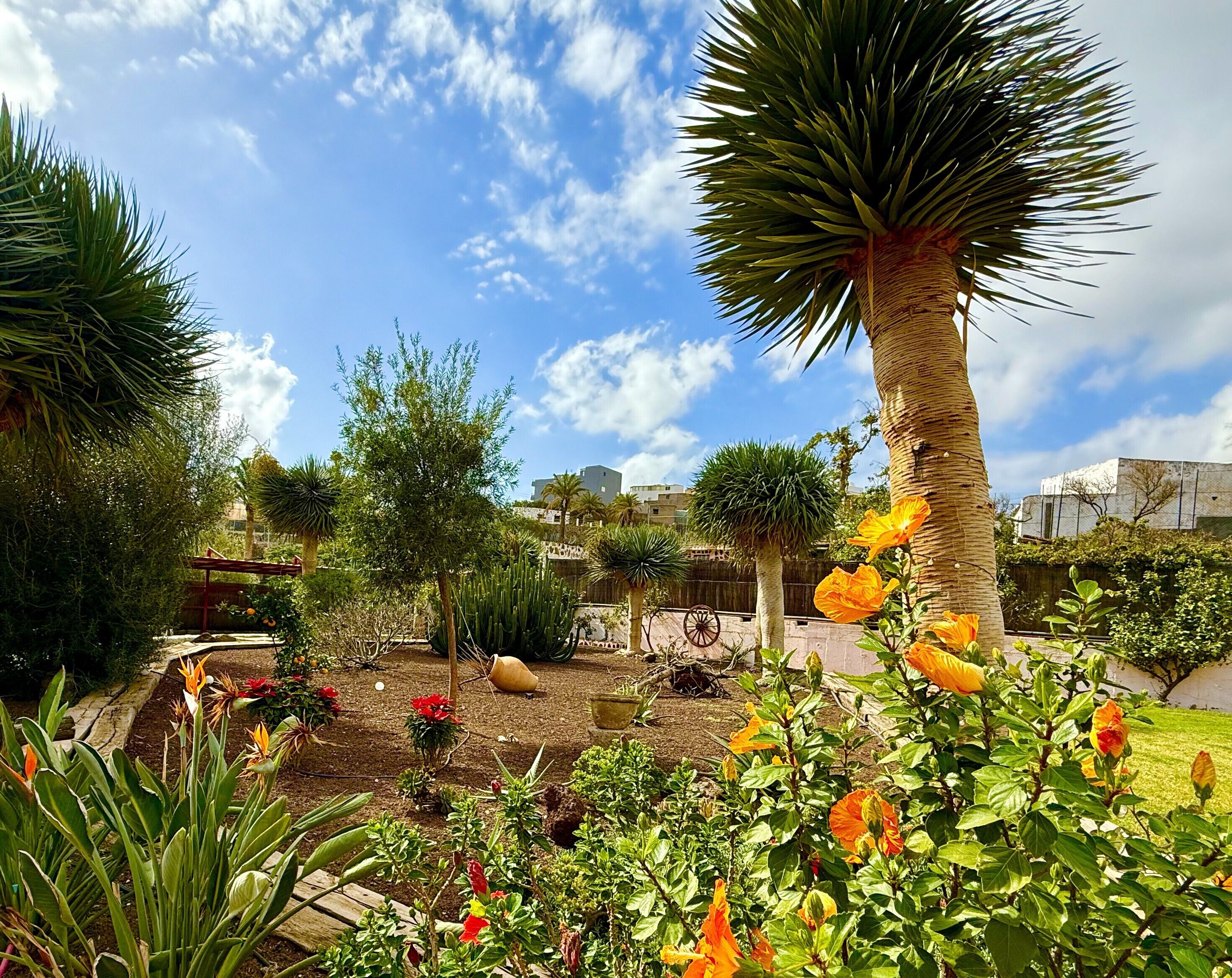 Área da propriedade