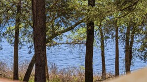 Vista de un lago rodeado de altos árboles.