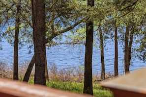 Ein See, umgeben von hohen Bäumen.