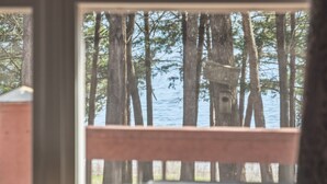 Vista desde una ventana: zona boscosa con un cuerpo de agua.