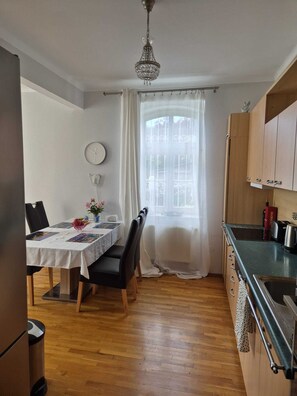 Private kitchen - Spacious & airy ground floor appartment (Karlovy vary)